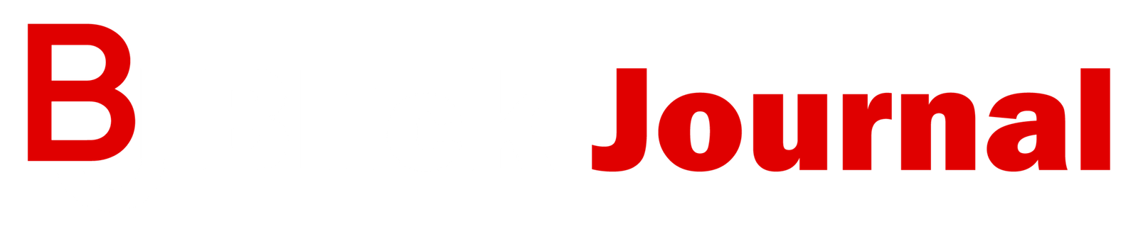 blickjournal